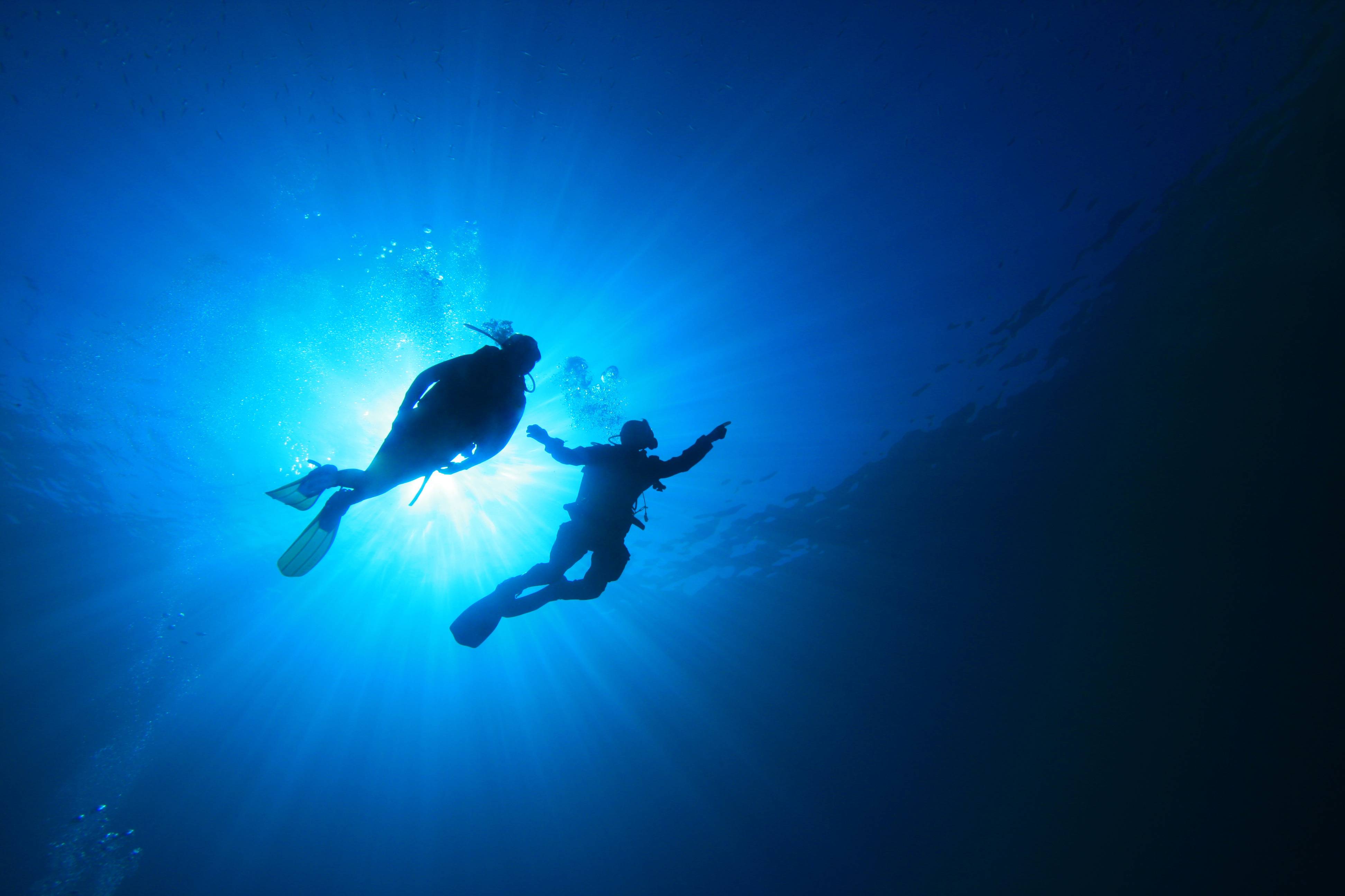 Detail Diving Wallpaper Nomer 10