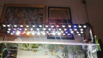 Detail Diy Lampu Aquarium Nomer 21