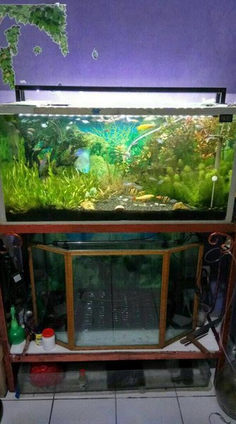 Detail Diy Lampu Aquarium Nomer 26