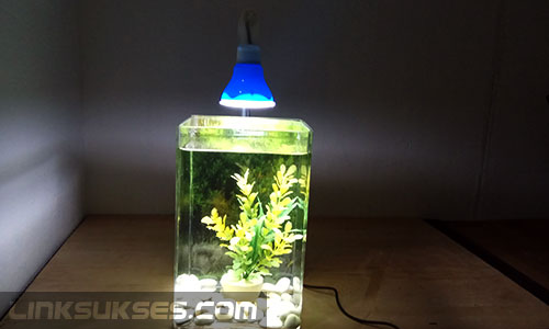 Detail Diy Lampu Aquarium Nomer 30