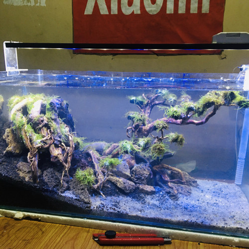 Detail Diy Lampu Aquarium Nomer 31