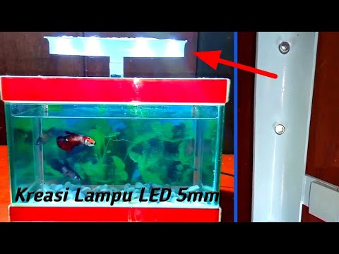 Detail Diy Lampu Aquarium Nomer 33