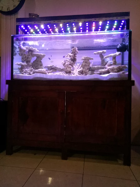 Detail Diy Lampu Aquarium Nomer 37