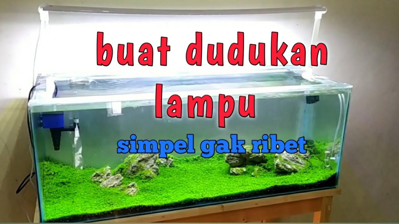 Detail Diy Lampu Aquarium Nomer 45