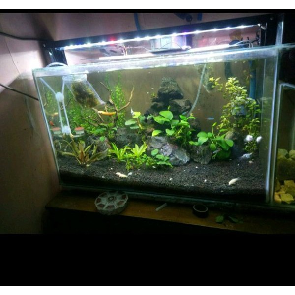 Detail Diy Lampu Aquarium Nomer 47