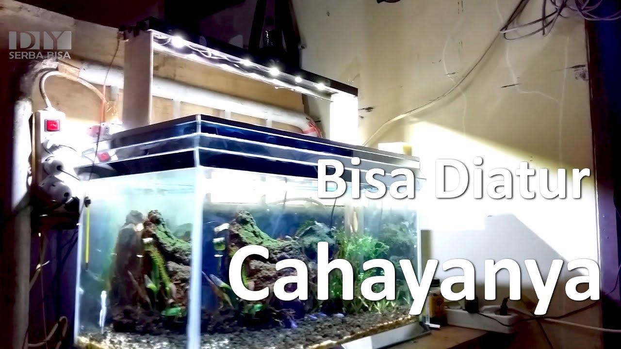 Detail Diy Lampu Aquarium Nomer 7