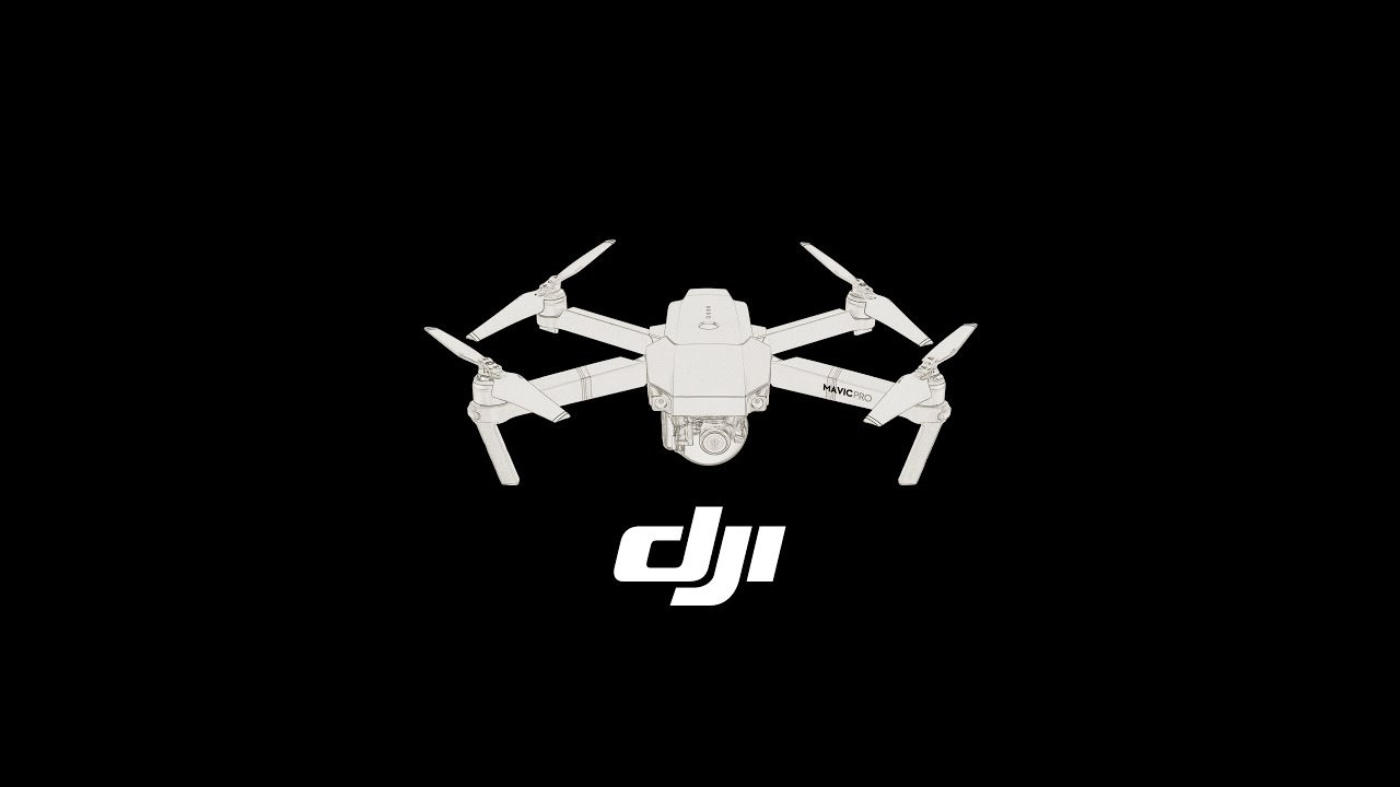 Detail Dji Mavic Pro Logo Nomer 13