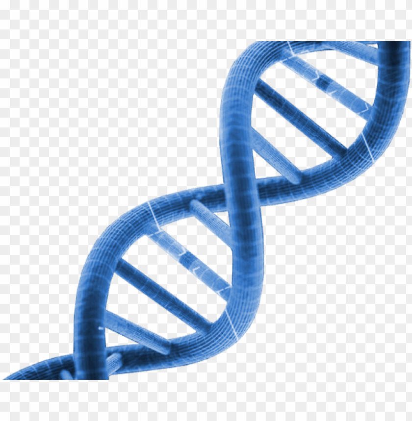 Dna Clear Background - KibrisPDR