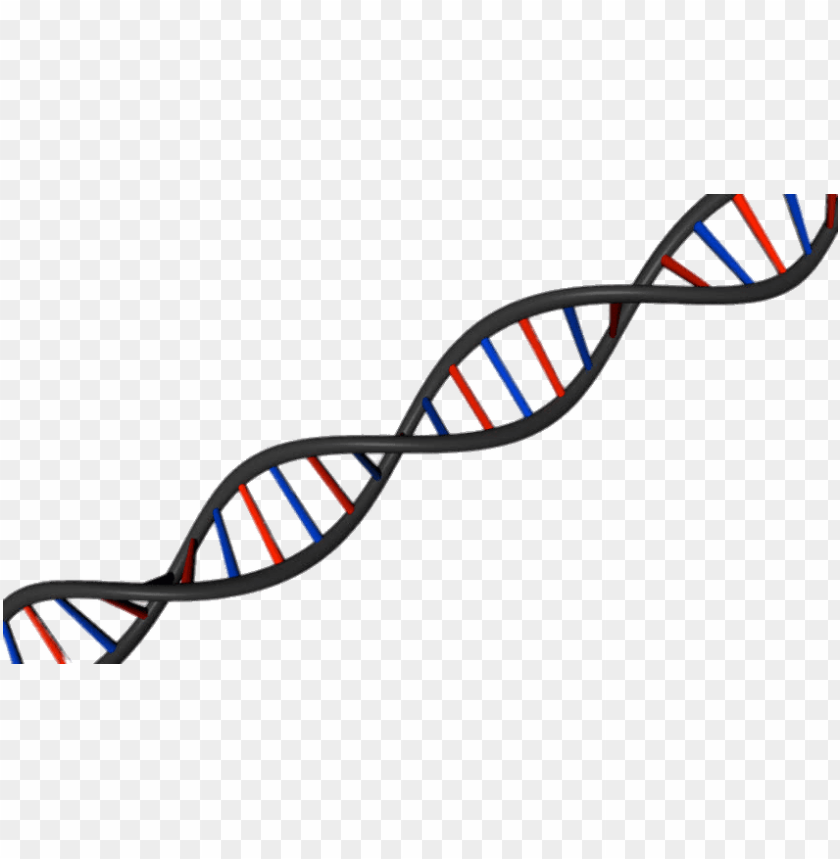 Detail Dna Clear Background Nomer 11