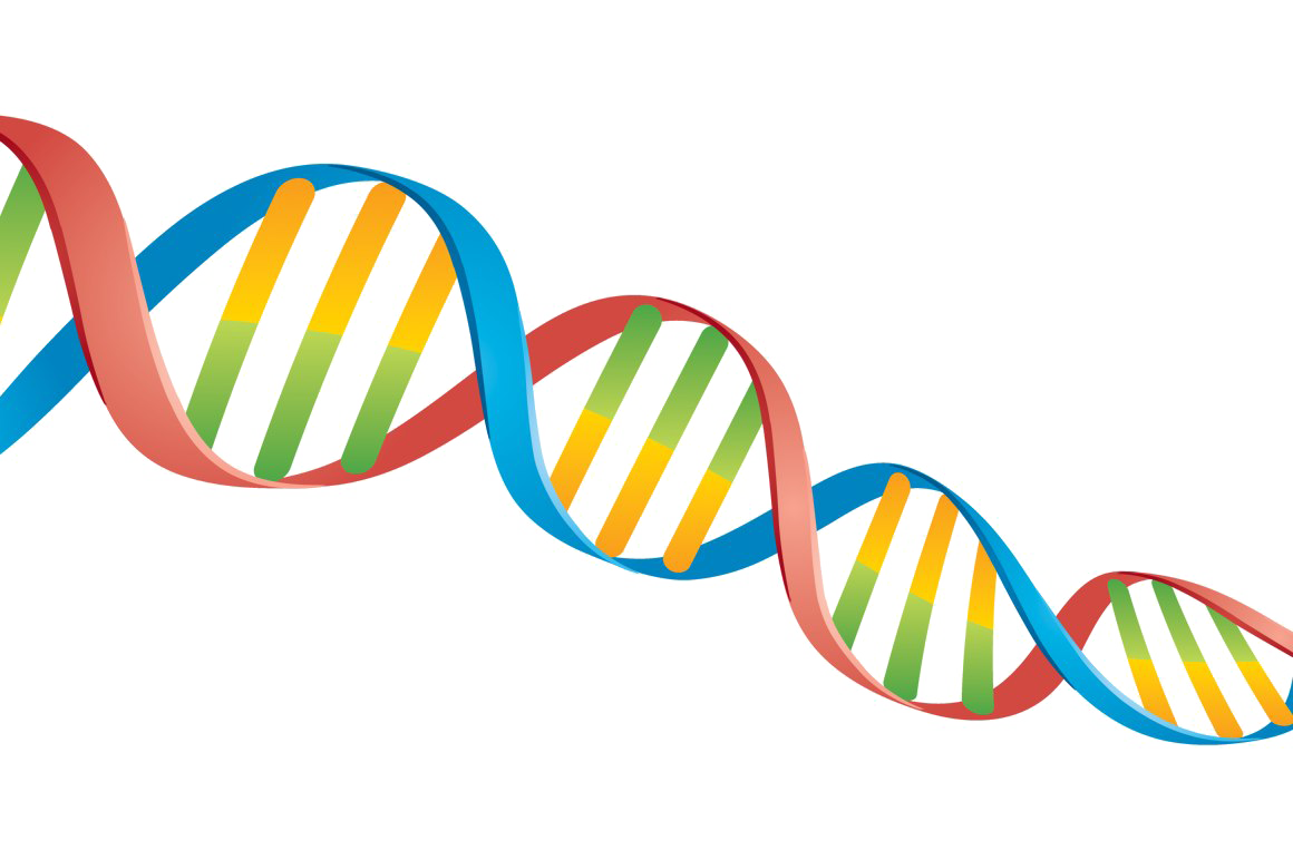 Detail Dna Clear Background Nomer 20