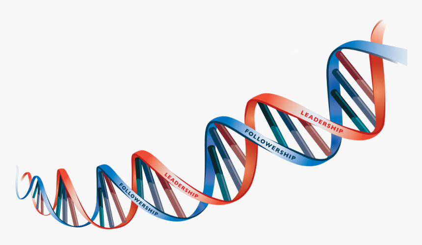 Detail Dna Clear Background Nomer 4