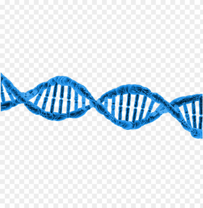 Detail Dna Clear Background Nomer 42