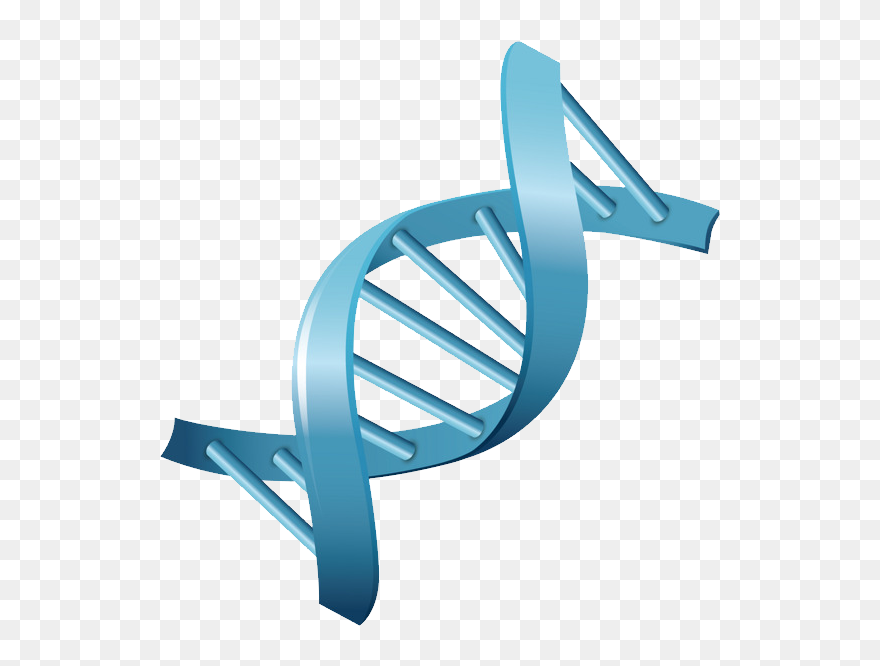 Detail Dna Clear Background Nomer 57