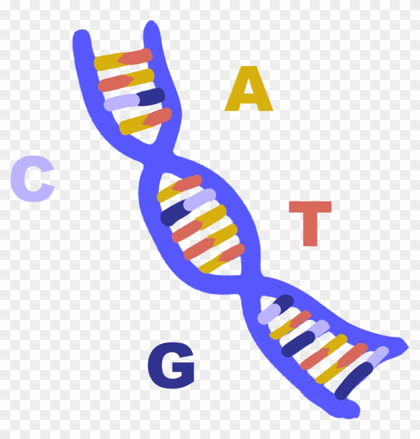 Detail Dna Clipart Png Nomer 34