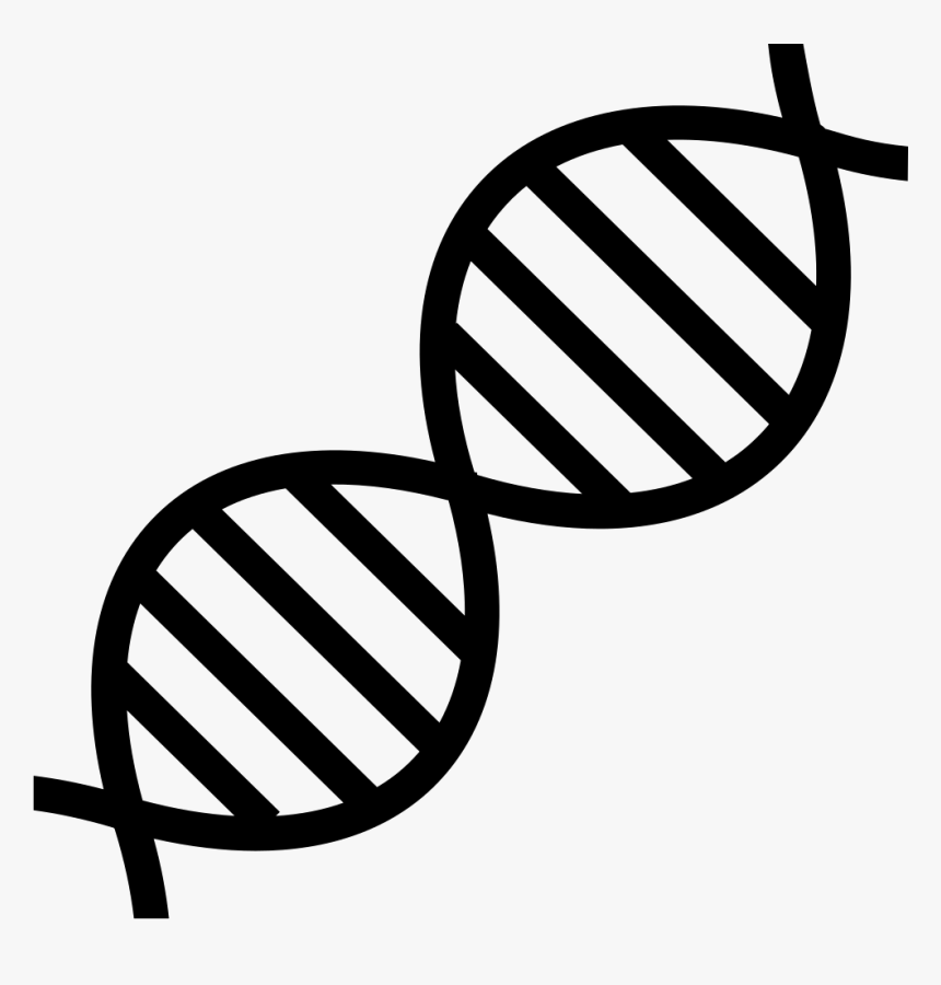 Detail Dna Clipart Png Nomer 41