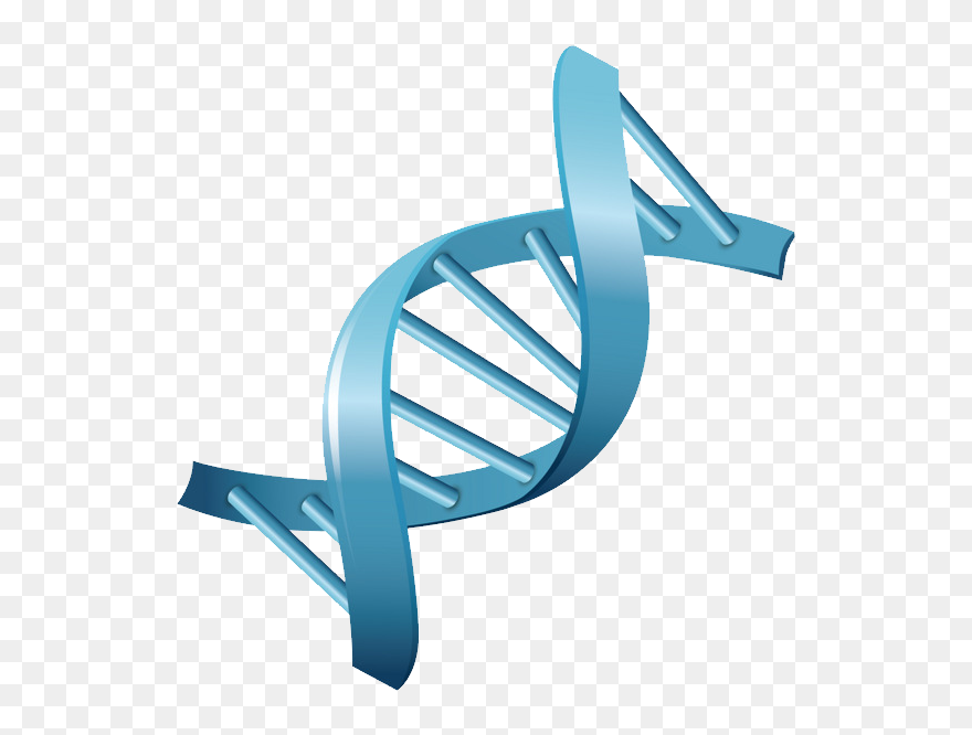 Detail Dna Clipart Png Nomer 44