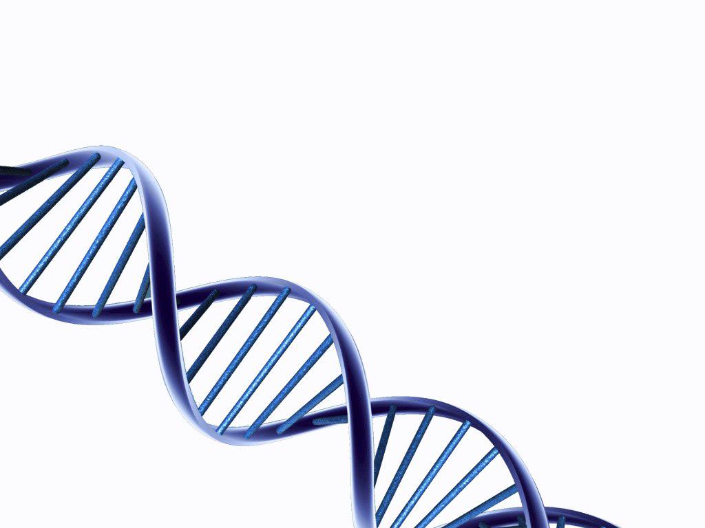 Detail Dna Free Download Nomer 22