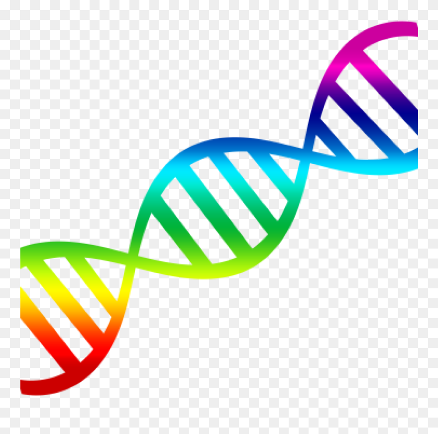 Detail Dna Free Download Nomer 7