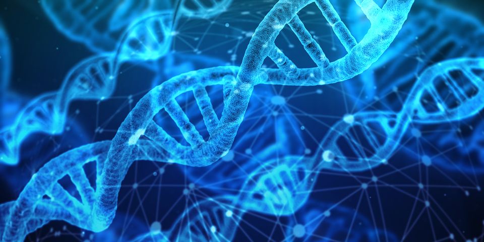 Dna Free Image - KibrisPDR