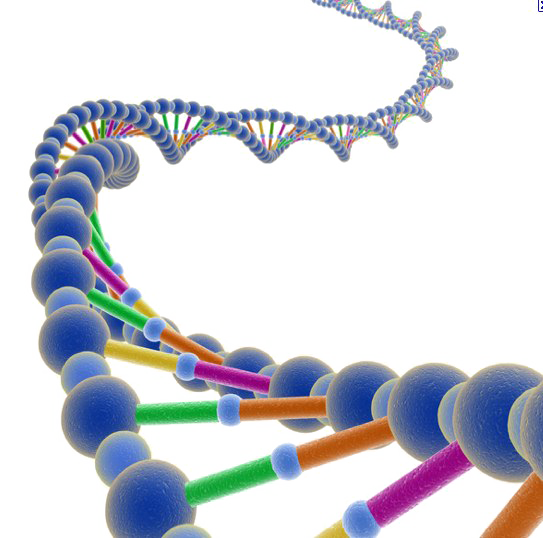 Detail Dna Free Image Nomer 34