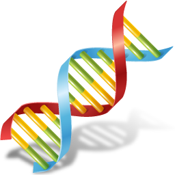 Detail Dna Icon Png Nomer 30