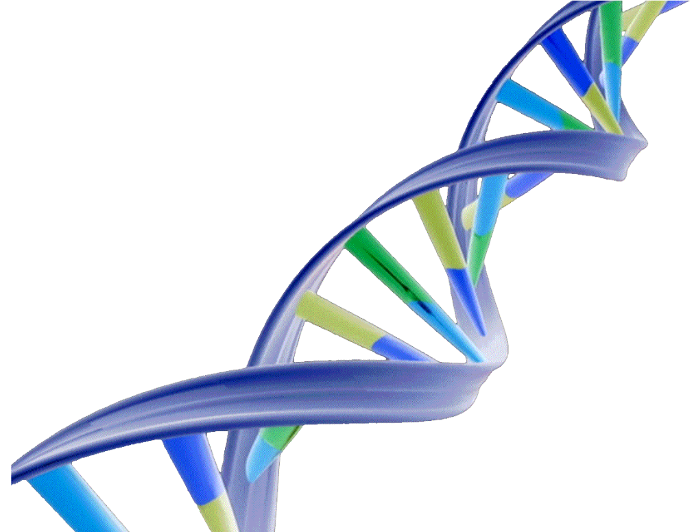 Detail Dna Images Free Nomer 32