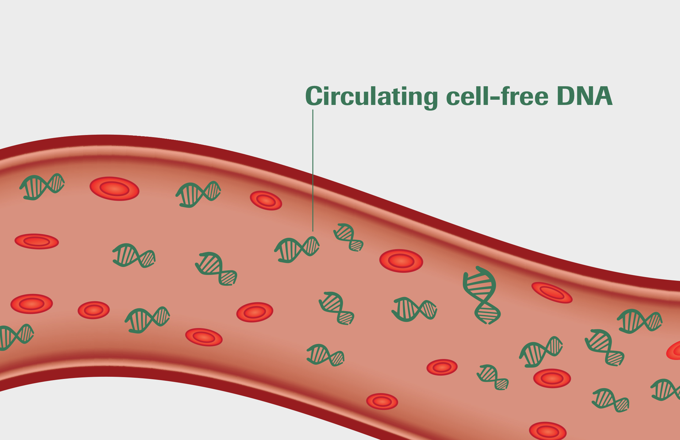 Detail Dna Images Free Nomer 35