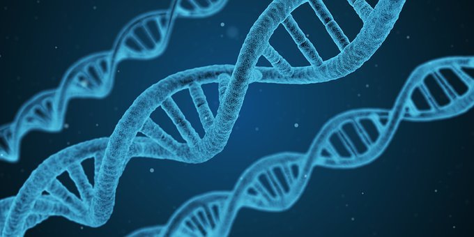 Detail Dna Images Free Download Nomer 2