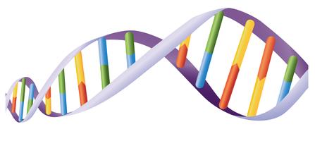 Detail Dna Images Free Download Nomer 21