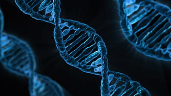 Detail Dna Images Free Download Nomer 25