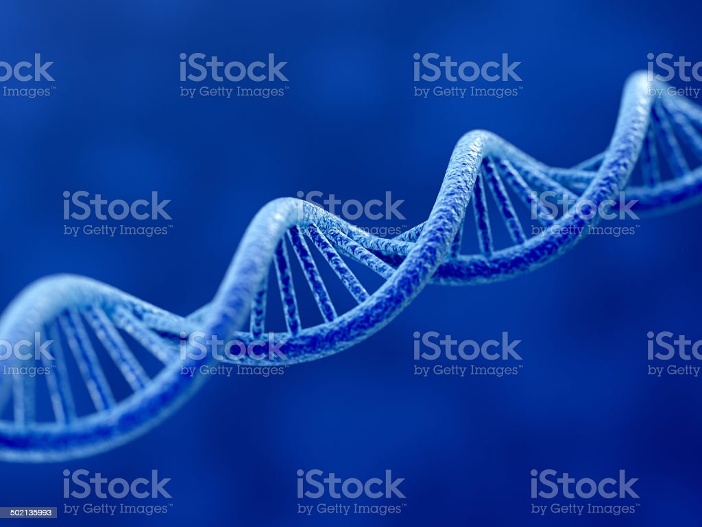 Detail Dna Images Free Download Nomer 26