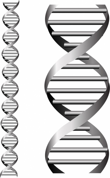 Detail Dna Images Free Download Nomer 33