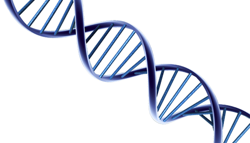 Detail Dna Images Free Download Nomer 36