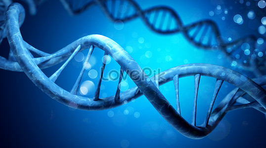 Detail Dna Images Free Download Nomer 43