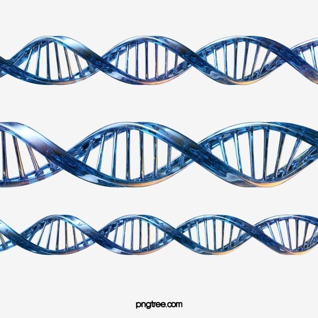 Detail Dna Images Free Download Nomer 45