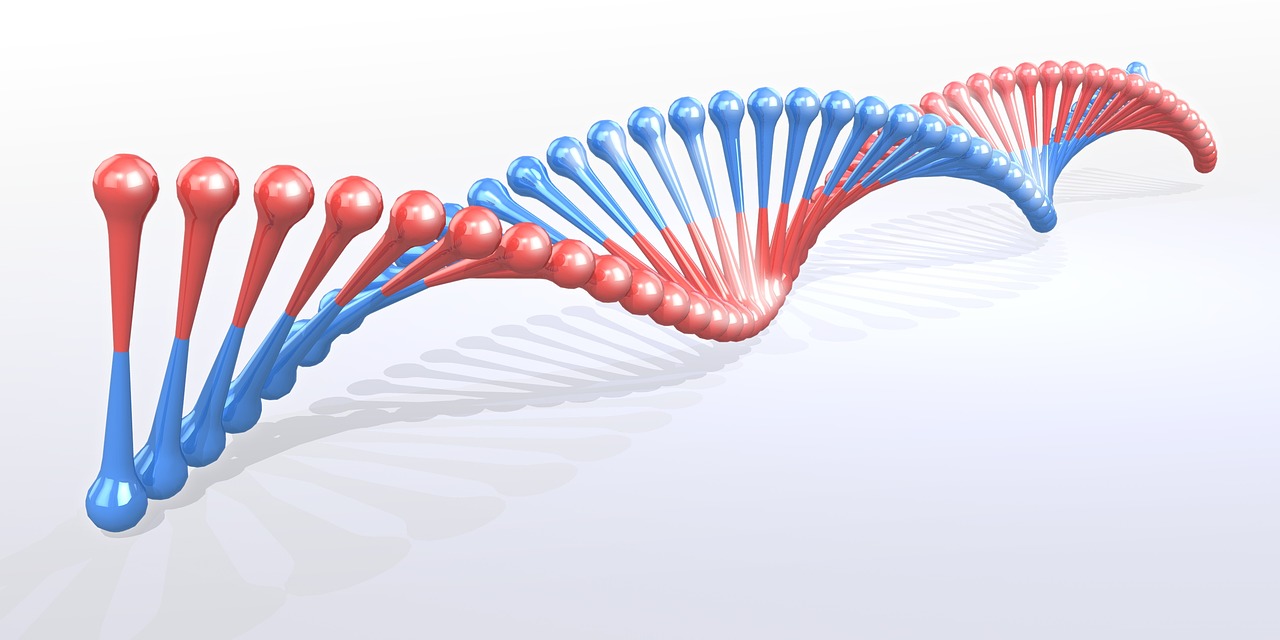 Detail Dna Images Free Download Nomer 51