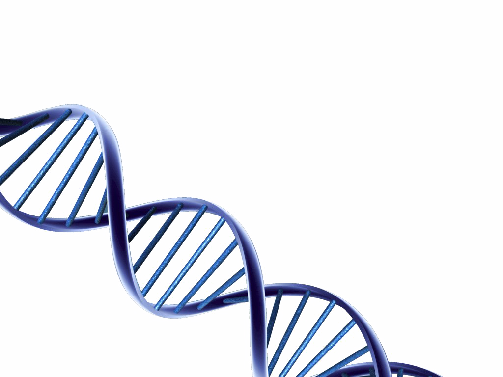 Detail Dna Images Free Download Nomer 53