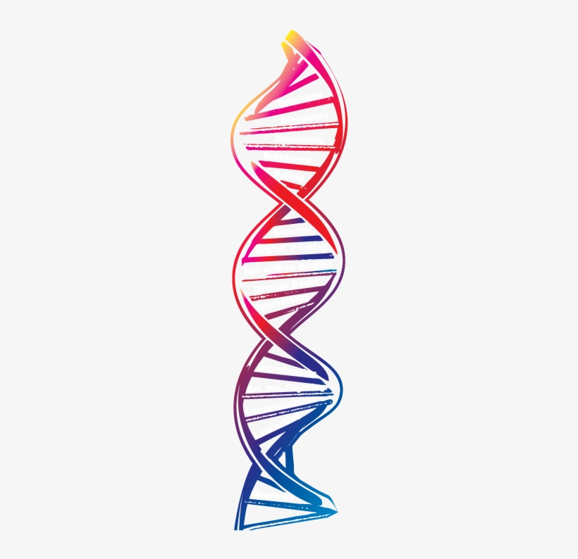 Detail Dna No Background Nomer 13