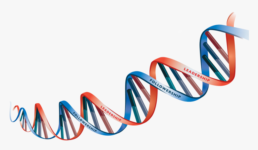 Detail Dna No Background Nomer 3