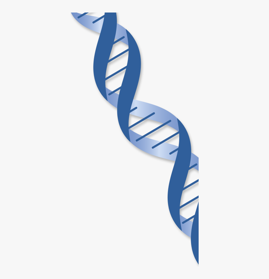 Detail Dna No Background Nomer 25
