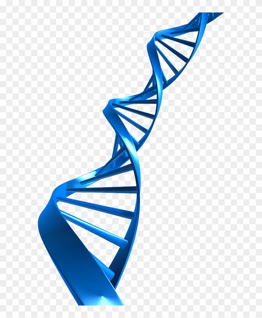 Detail Dna No Background Nomer 4