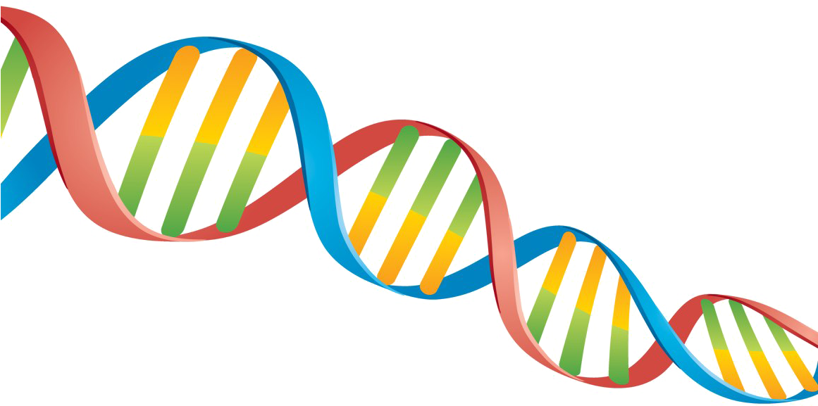 Detail Dna No Background Nomer 34