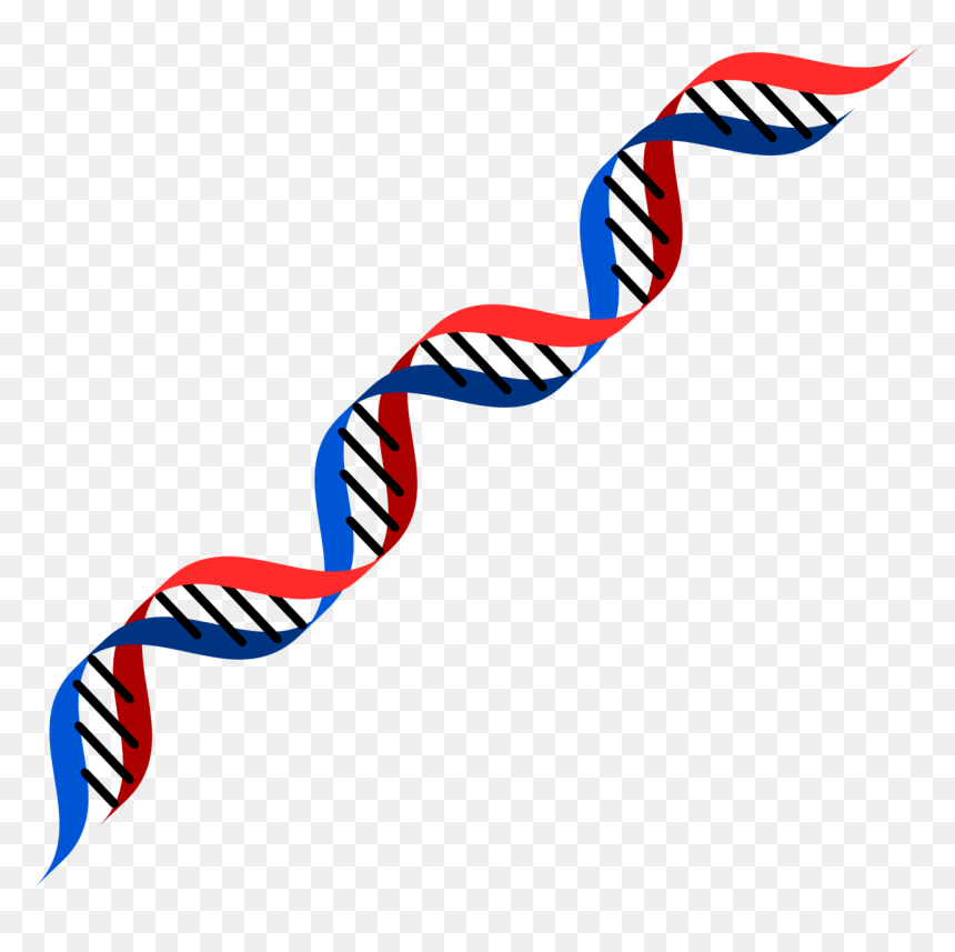 Detail Dna No Background Nomer 35