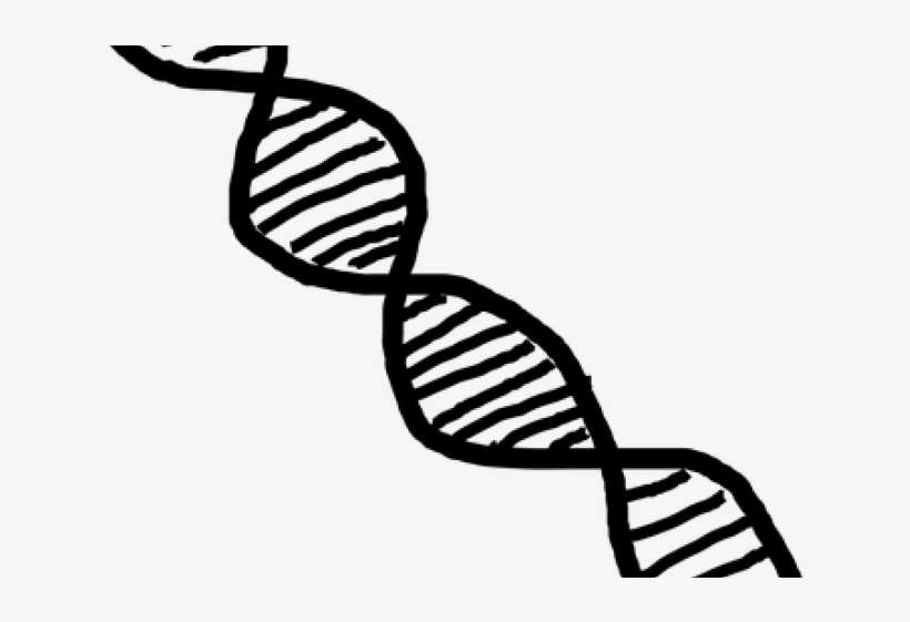 Detail Dna No Background Nomer 44