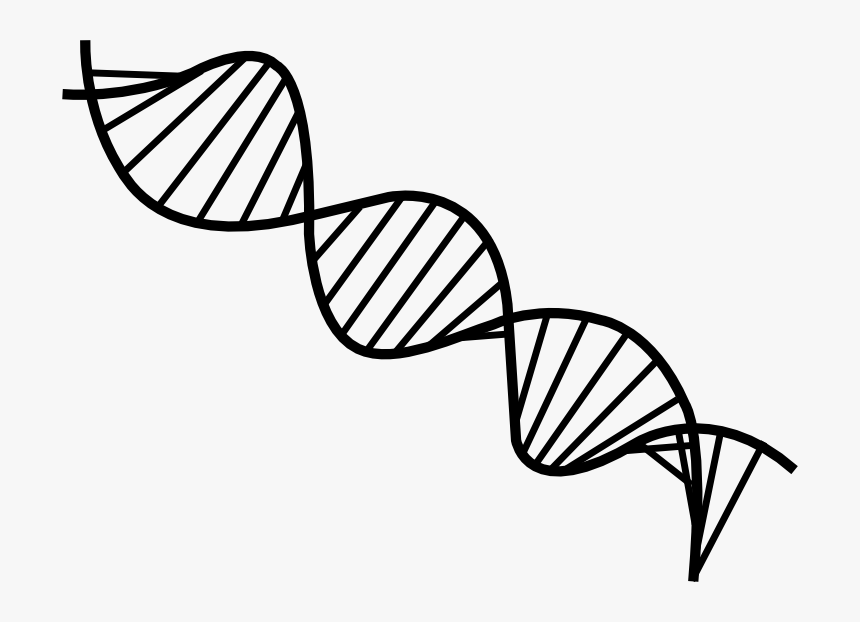 Detail Dna No Background Nomer 6