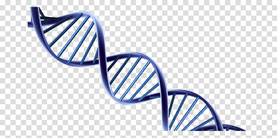 Detail Dna No Background Nomer 54