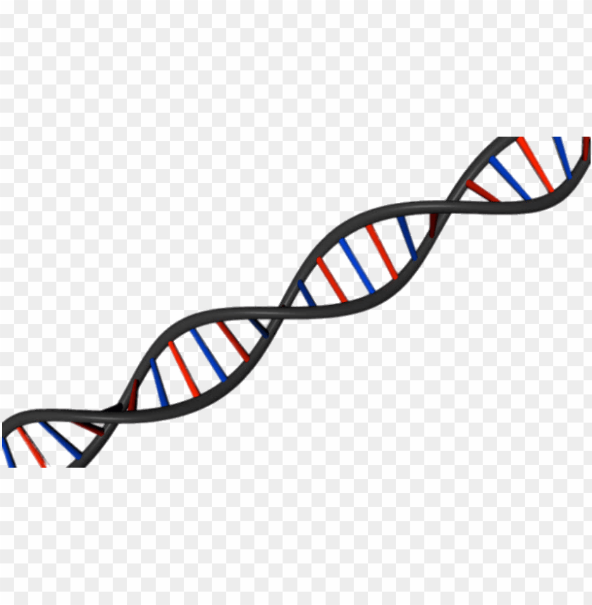 Detail Dna No Background Nomer 10