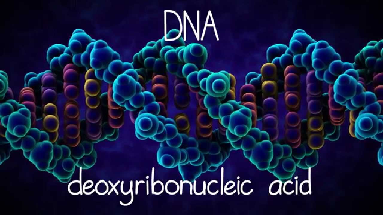 Detail Dna Pics Nomer 24