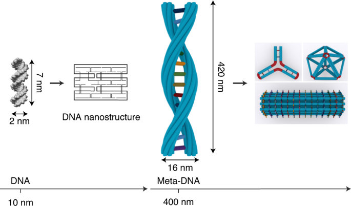 Detail Dna Pics Nomer 26