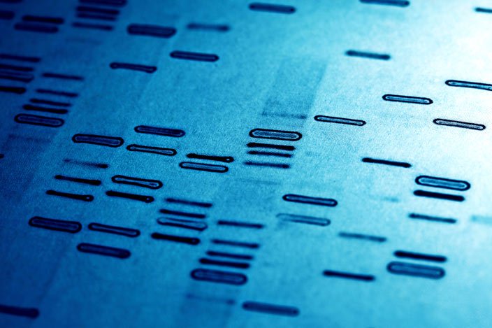 Detail Dna Pics Nomer 48